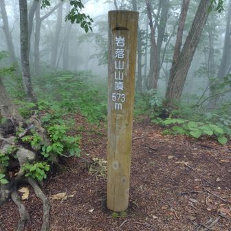霧がすごいな...