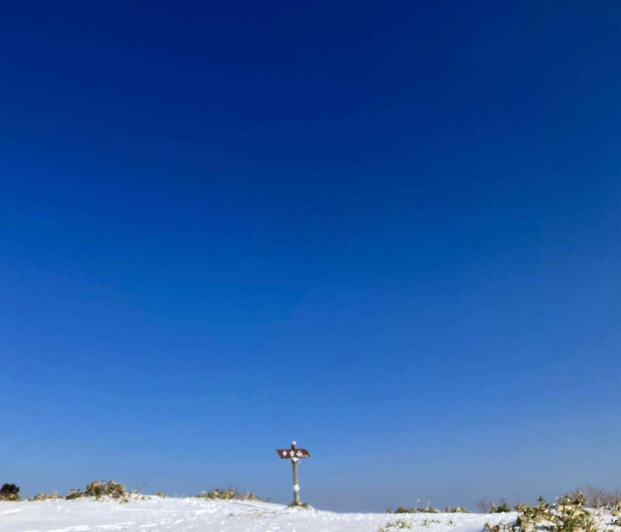 今年も青と白の世界🌎が見れました。