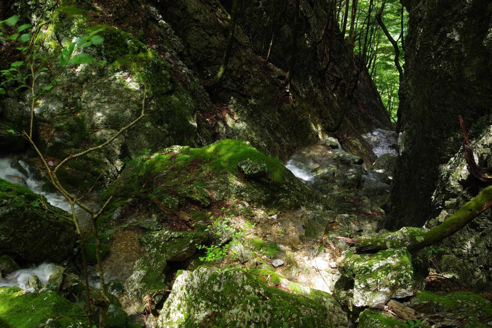 紅葉川渓谷