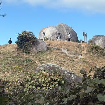 あそこに登った　みんなきゃーきゃー言いながらも登る
