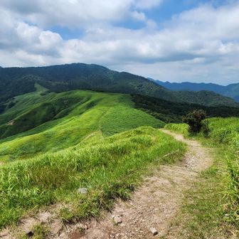 ⛰️高丸山
頂上のあたりから振り返って↶
今の時期じゃなければ至福の道✨