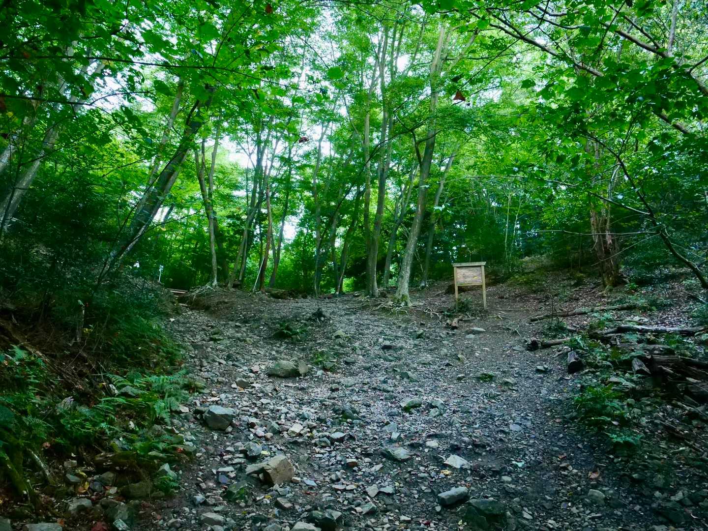 八神社登山口 往復コースの写真