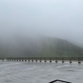 この通りガッスガスです