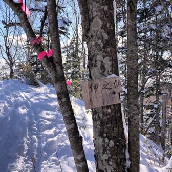 頂上標も欠けたんすね。なんかピンテ結びすぎ。
