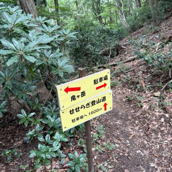 ここまで下りでここから登り☝️