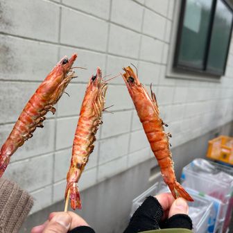 頭からガブっ😆❣️