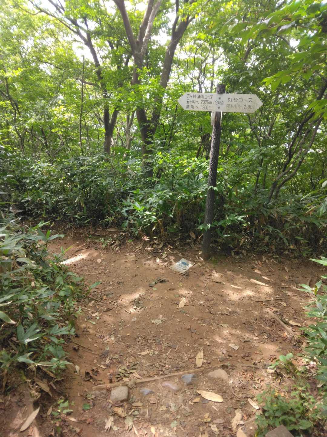 👈ピストンで下山します
