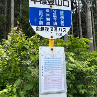 無事下山😊
意外と急な降りで、13時のバスに間に合うようには降りられなかった😅
一緒に二日間歩いてくれた仲間に感謝❣️