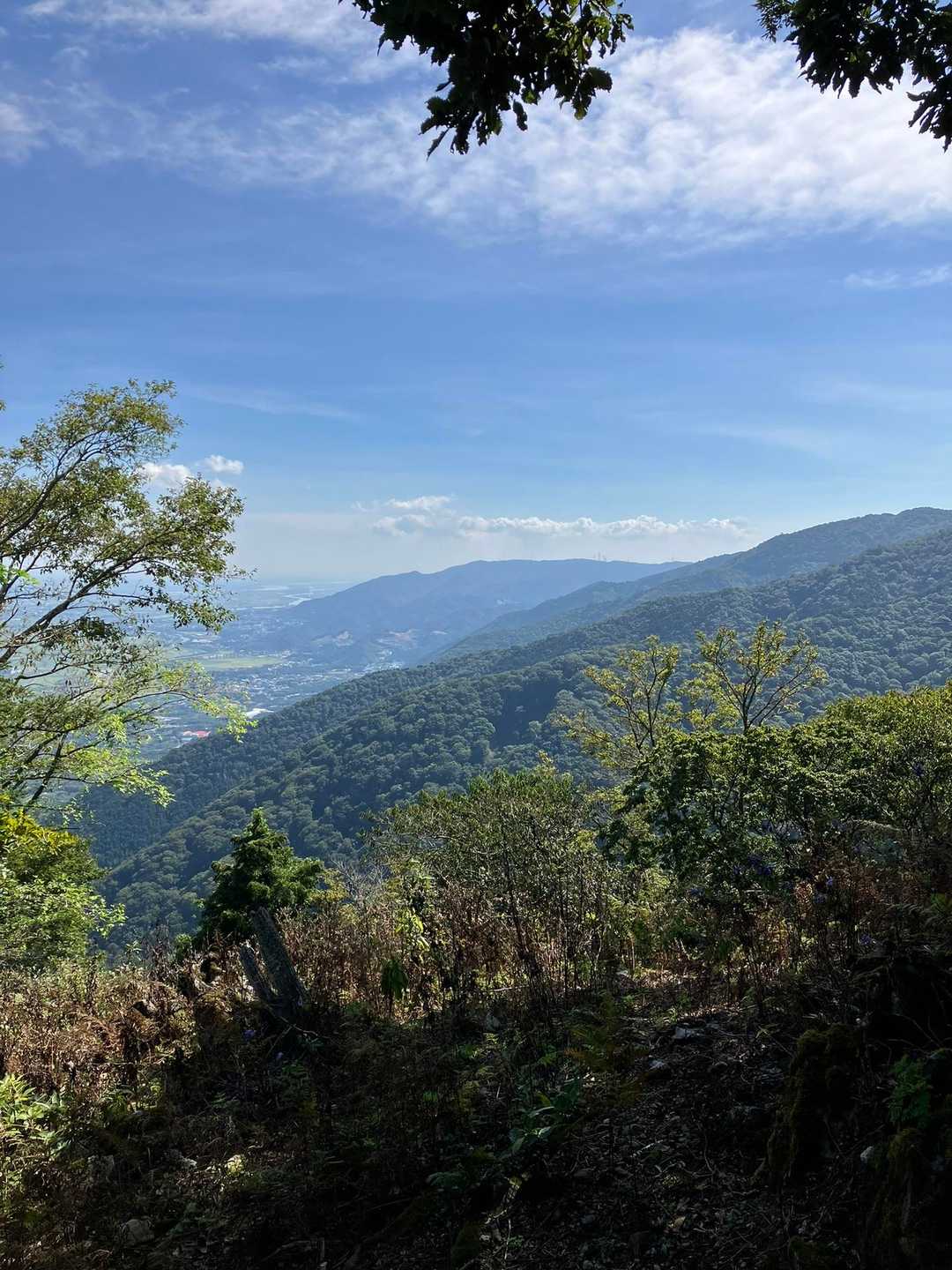 脚がガクガクプルプル。
最近ろくに山来てなかったので筋力落ちたか。
季節も良くなってきたし、できれば月に3、4回は登るようにしたい。