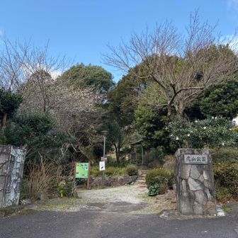 登山口となる公園。白梅咲いてました