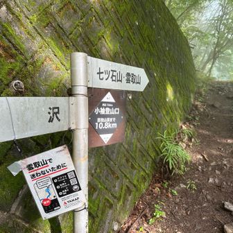 ここから登山道。