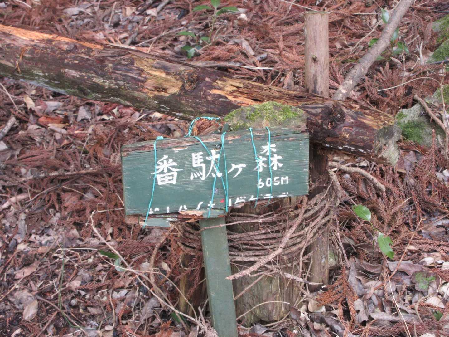 今日の二座目