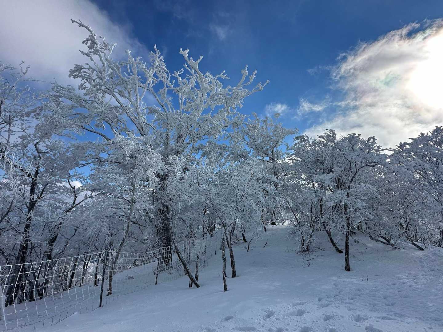 青い空に真っ白な雪。。。
最高だね😃