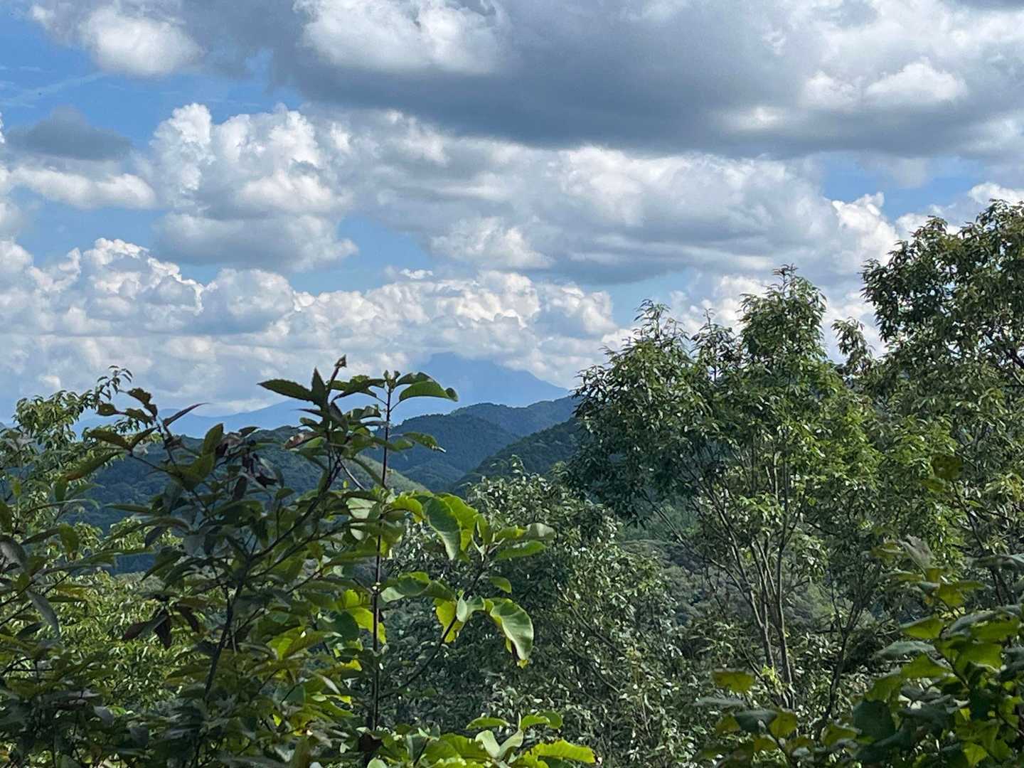 唯一の景観でしたが、大山は見えず…