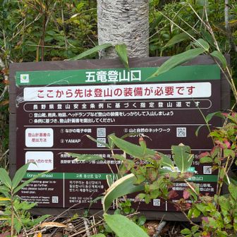 ここまで遊歩道なんて…