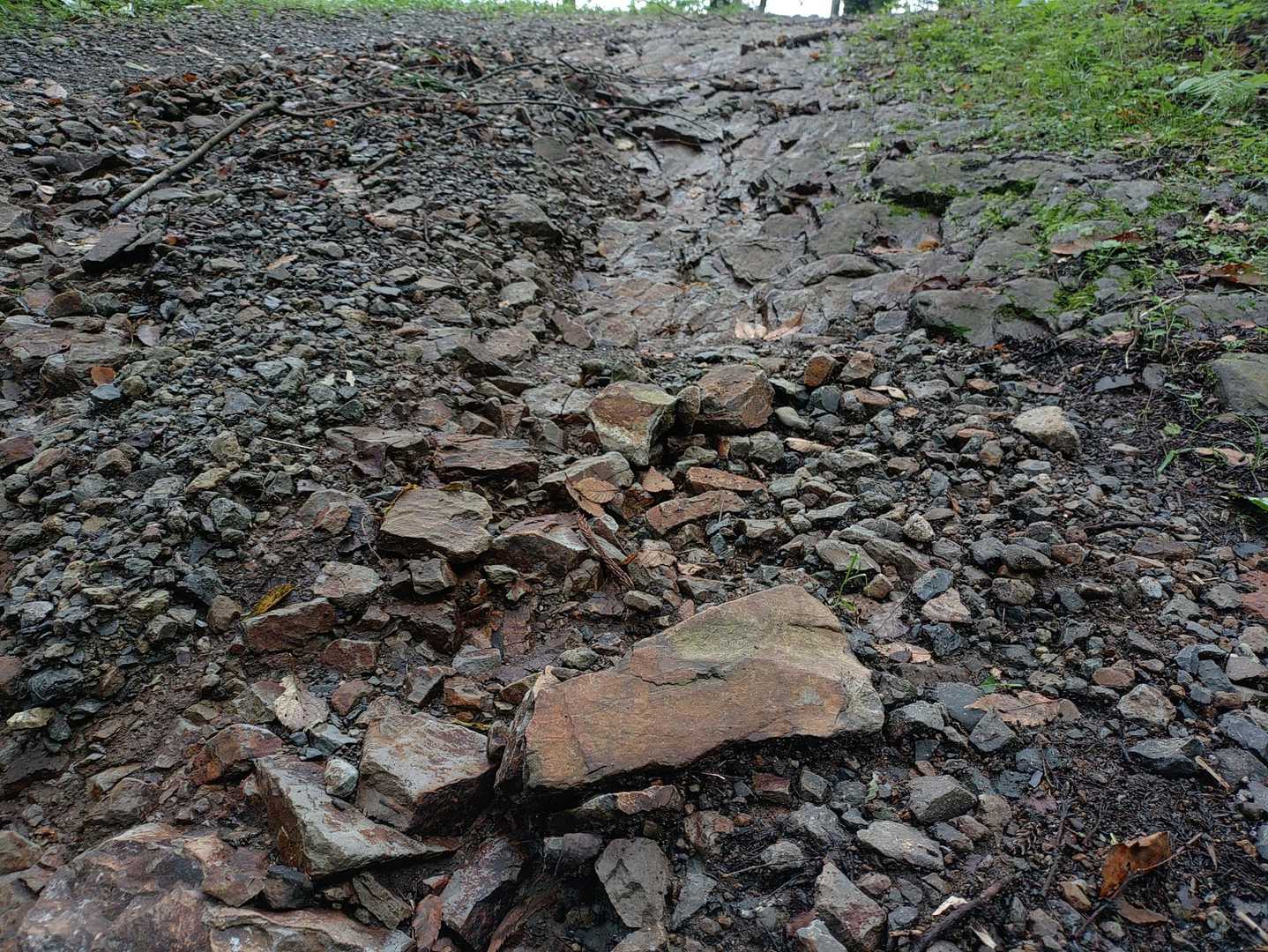 関山の登山道は
たくさんの方々に整備して頂いてますが…雨などで削れてしまうんですね😥