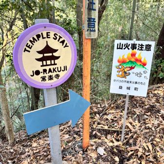 寺の看板かわいい！