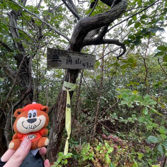 三角山（483m）山頂
本日６個目

札幌の三角山みたいに景色が良いといいのに、ここは全く無し😓先を進みます

にしてもひとつ前の540Pってお山、たぶん標高540mだからだと思うけど、もう少し名前なかったのかな…