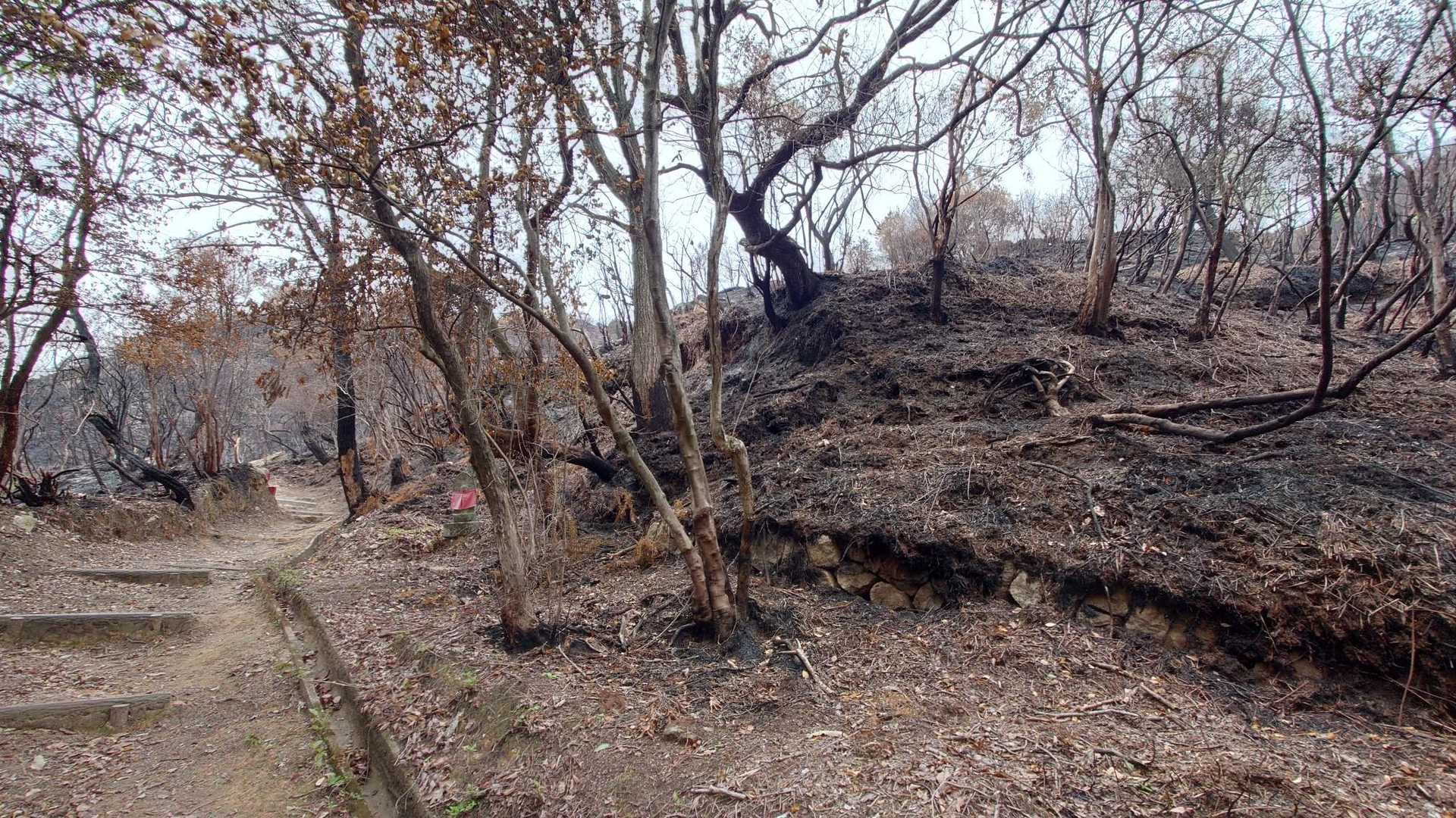 世田薬師バス停-世田薬師登山口-世田山-笠松山 往復コースの写真