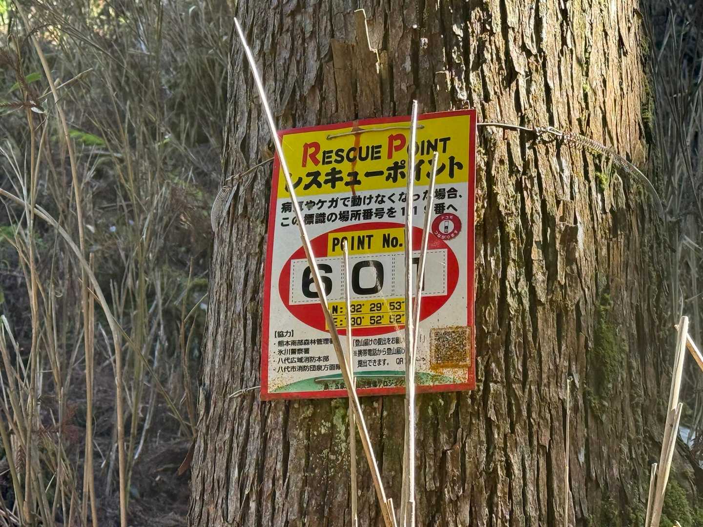 少し開けたとこに、レスキューポイント。
なにかあったらいけないから写真撮る