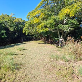 徳倉山（255m）ここで休憩。