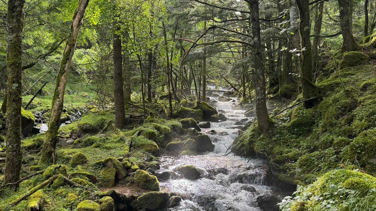 八ヶ岳（赤岳、中岳）縦走 の写真 4