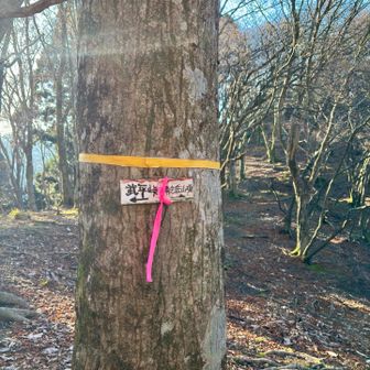 ここでメチャクチャ方向の確認してます🙄