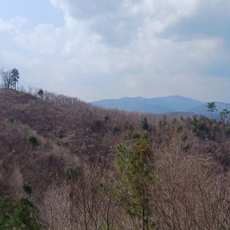 矢祭山頂上からの眺望