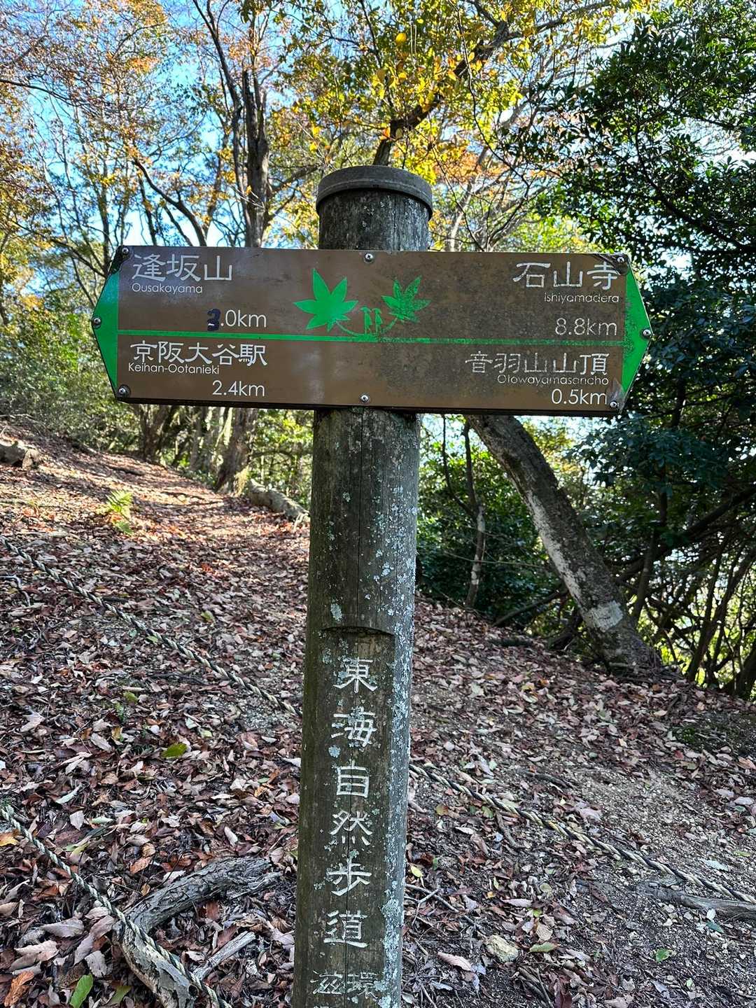 大津駅-音羽山-石山寺駅 縦走コースの写真
