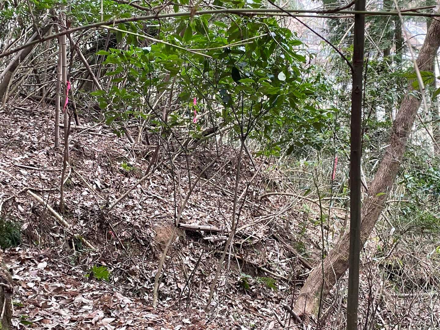 意味不明のピンテ😟案内もないから戻〜どろっと。諦めが早いのが取り柄😝
