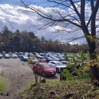 第一駐車場には車が溢れていました。

🍂おしまい⛰️
