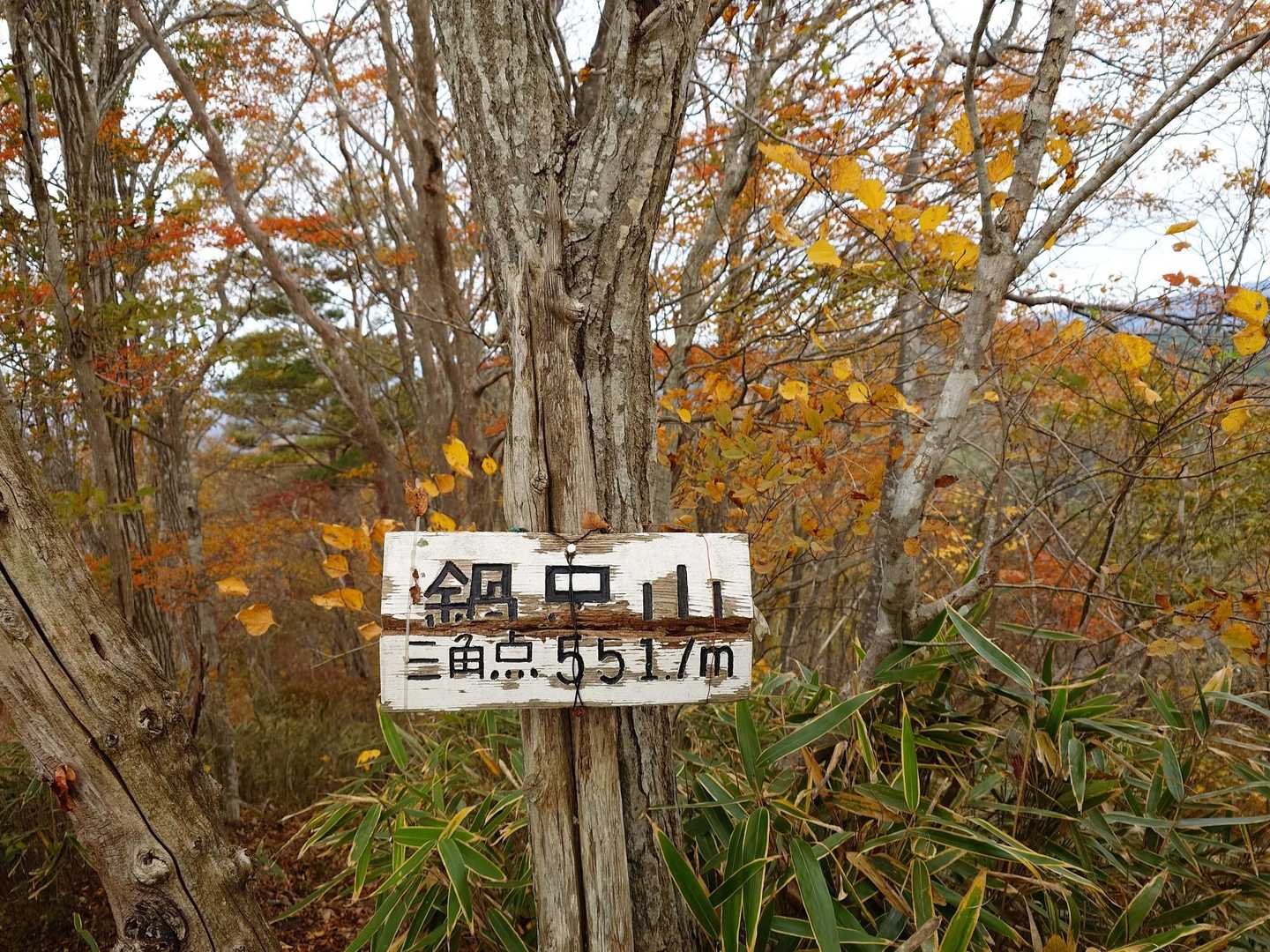 鍋足山🏔️三角点①