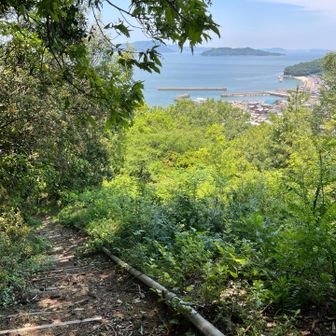 振り返ると瀬戸内海🏖️