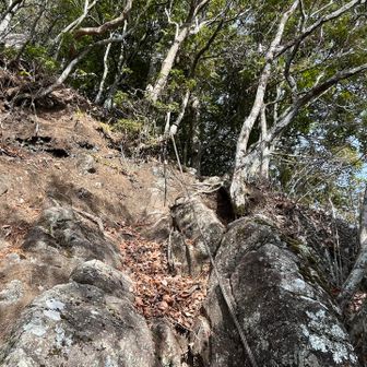 お助けロープに頼る😅