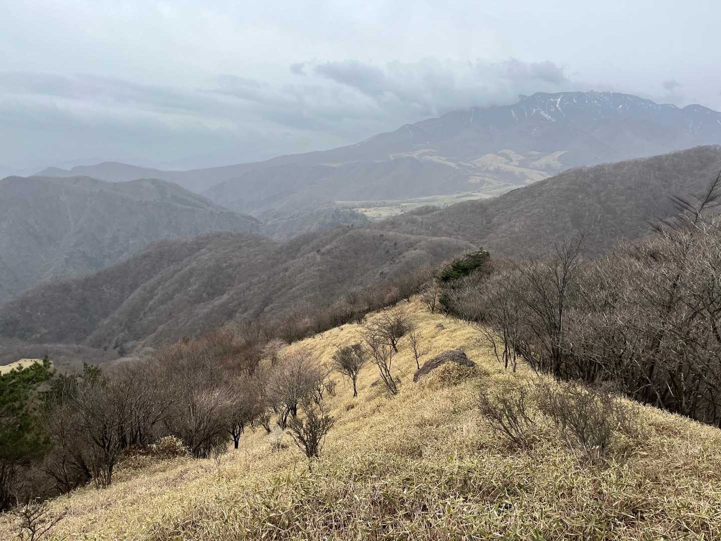 これからの新緑🌳
青空のなかサイコーだろうなぁ。