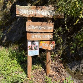 最初は後山林道