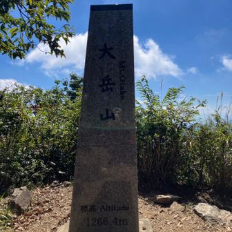 ザ・逆光