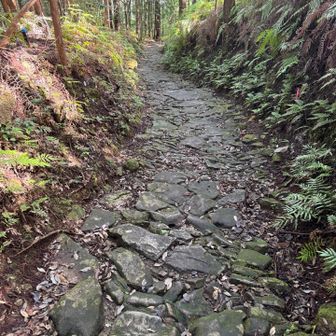 あとは下るのみだが石段になっていて滑らないよう神経を使う