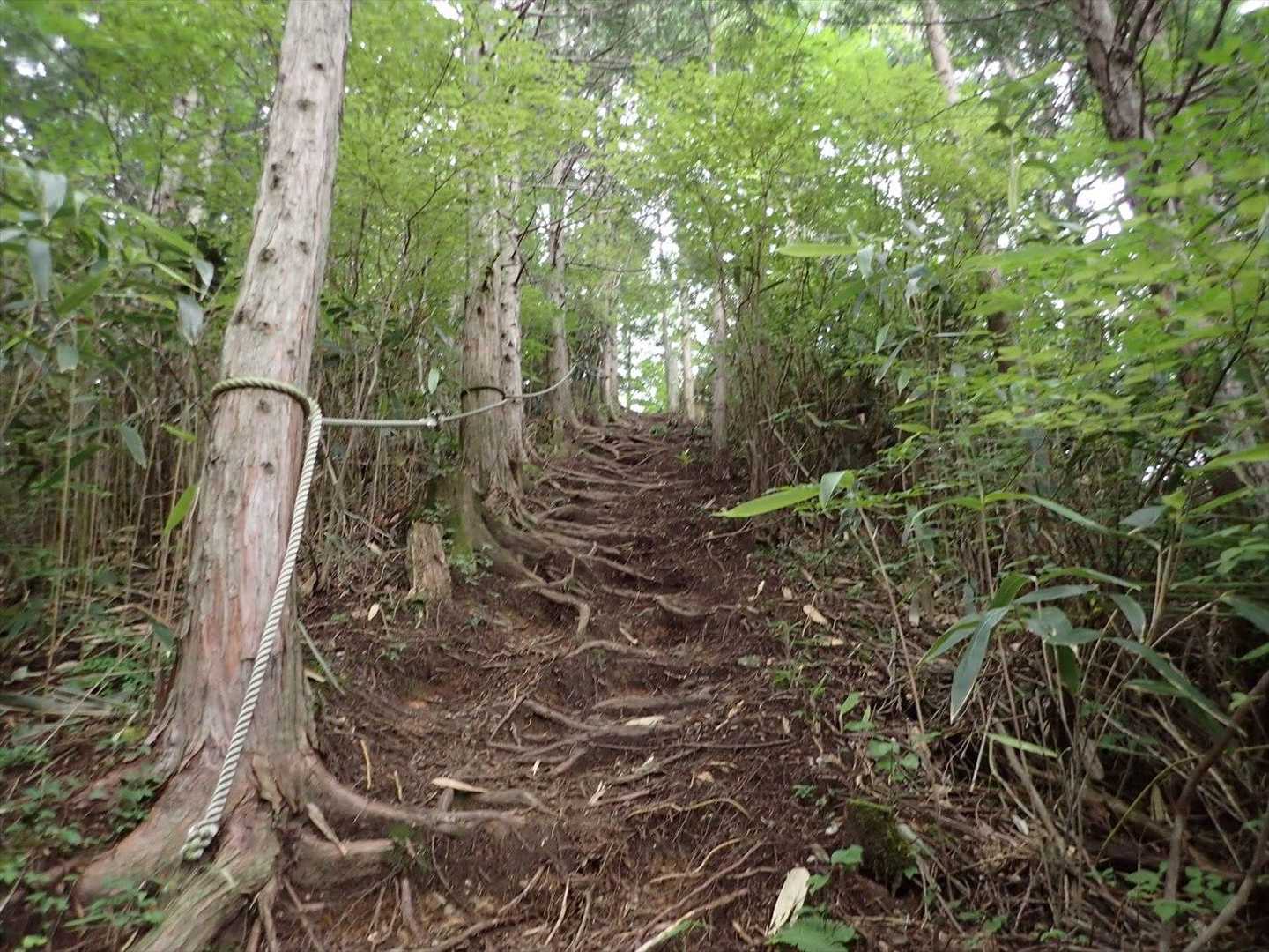 ６時半南登山口出発です。ロープ設置ありがとうございます🙇🏻‍♀️