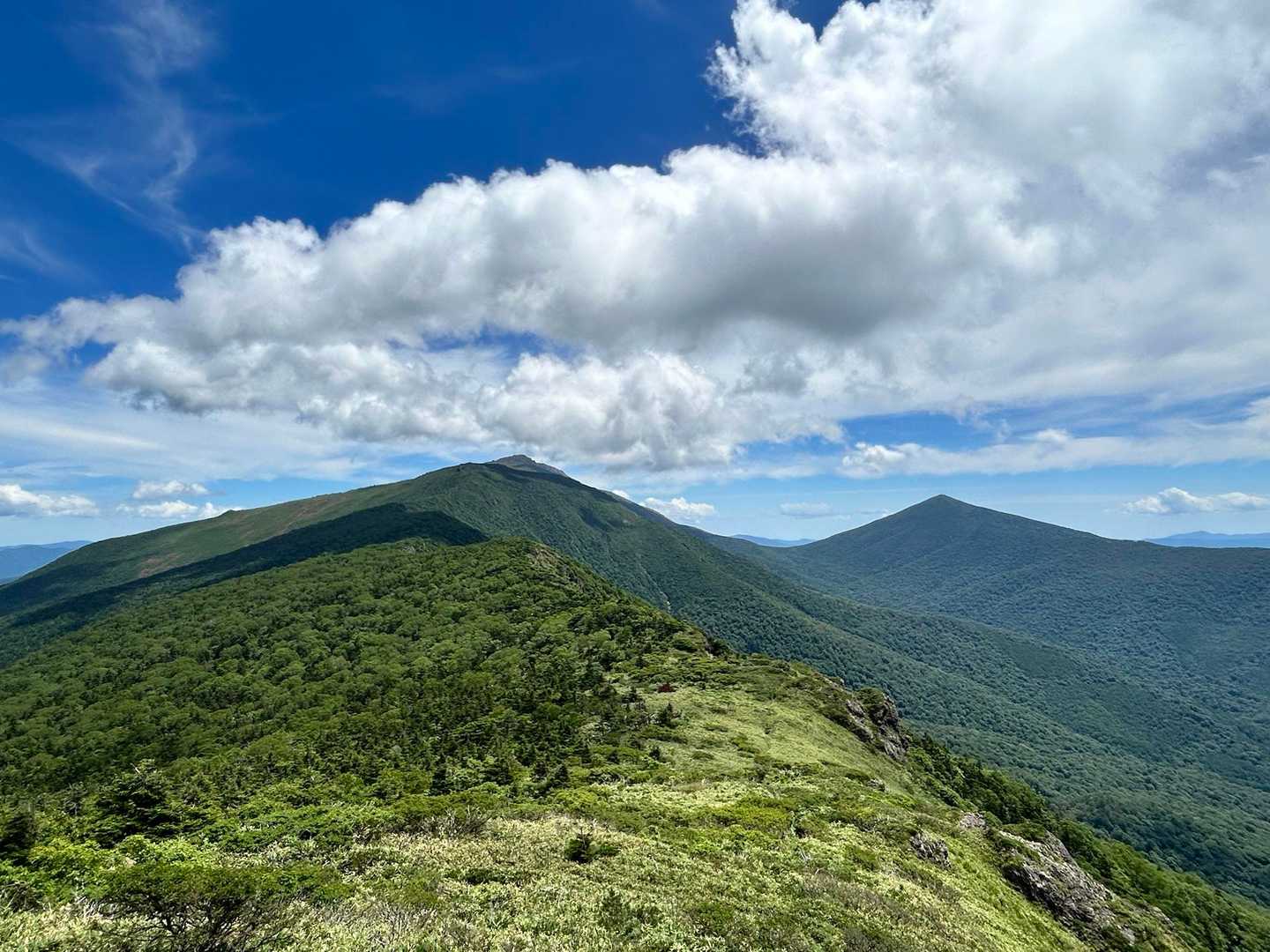 山頂待てずに手前で早池峰山を振り返る✨
