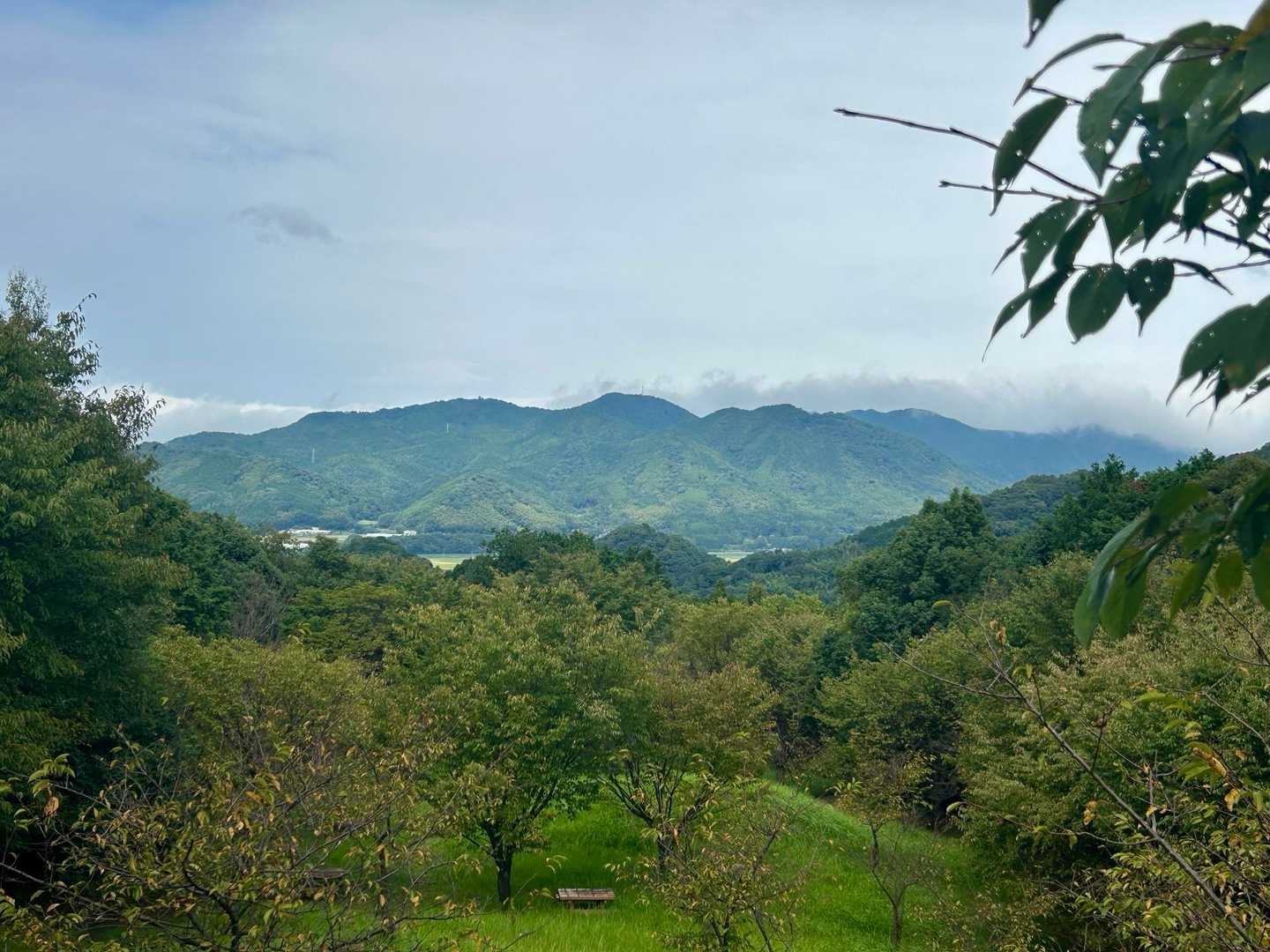 目配山⛰️
その奥の宝満山は雲の中☁️見えませんでした☝️