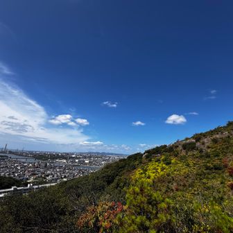右手かえる岩と山頂の方。左手海側。
この谷は涼しい˖⊹(´꒵ `ෆ)