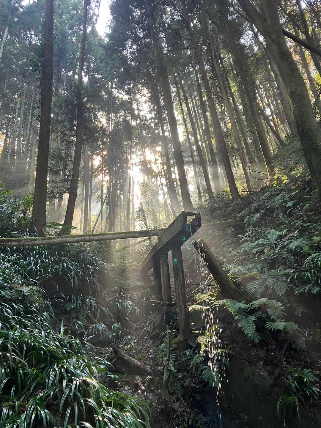 神々しい