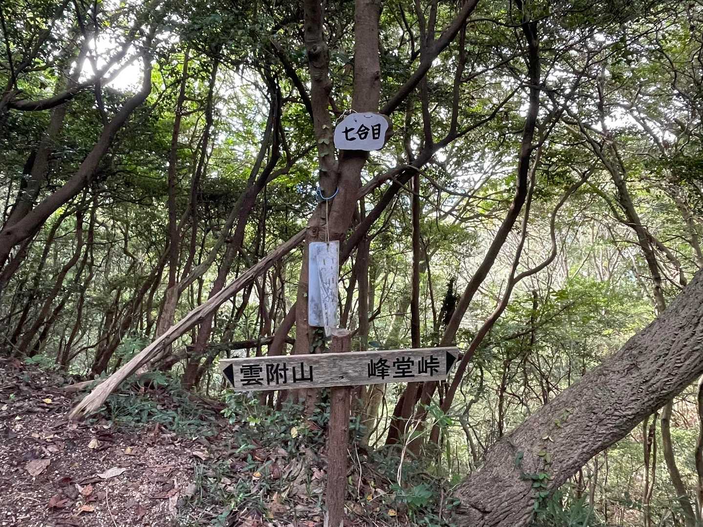 尾根に出た