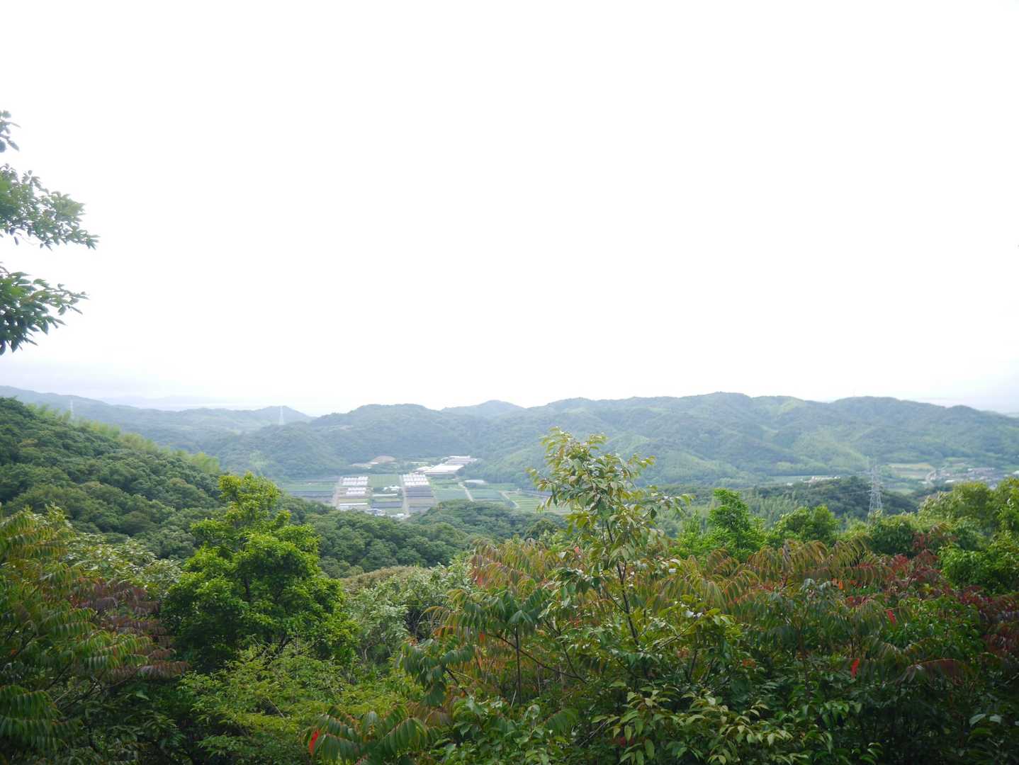 孫茶臼山 往復コースの写真