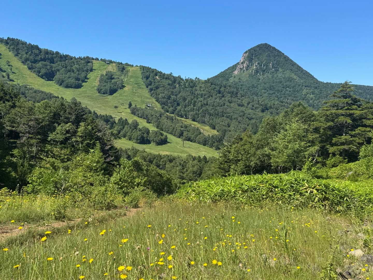下山時に見えた笠ヶ岳の尖峰です。反対側から登山道があるようです。