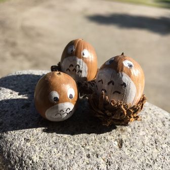 虹