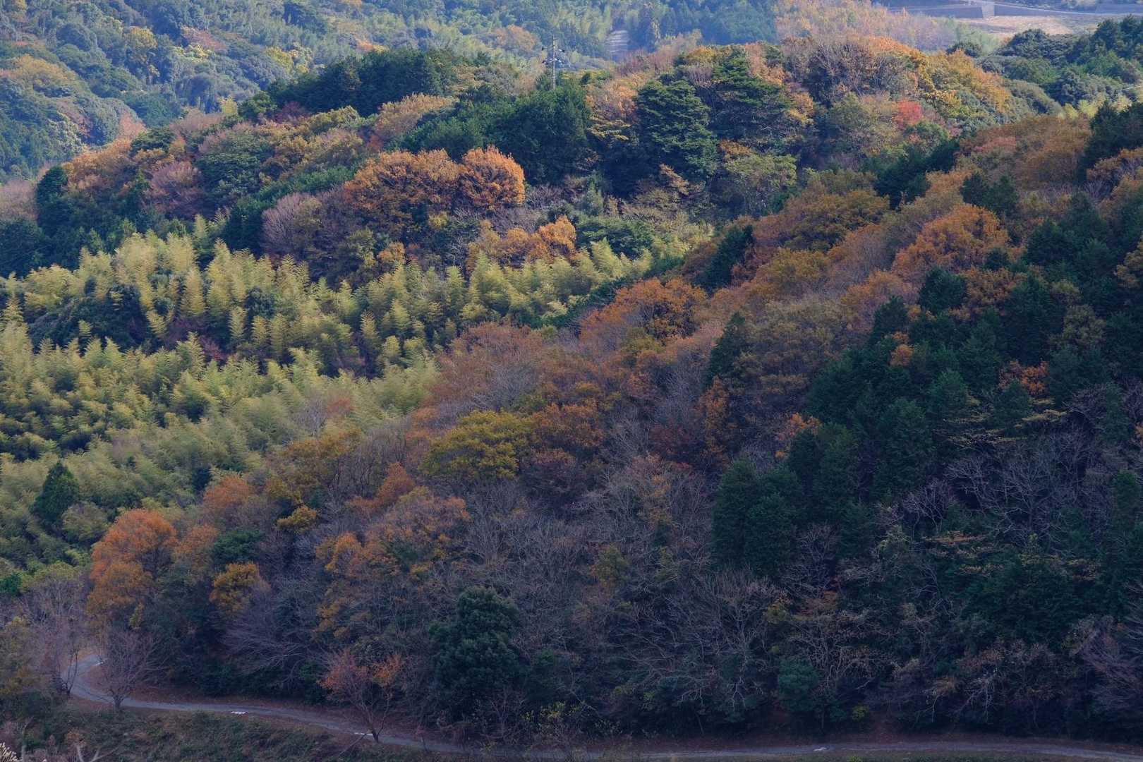中峠-広谷台 往復コースの写真