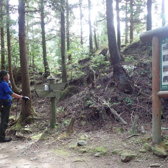 正面登山道に合流。