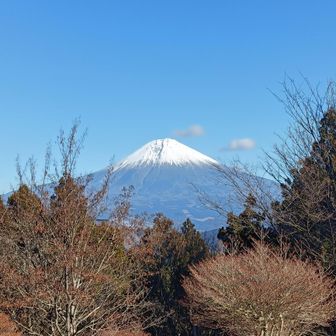 チバラギ県民には知らない姫様のお顔です